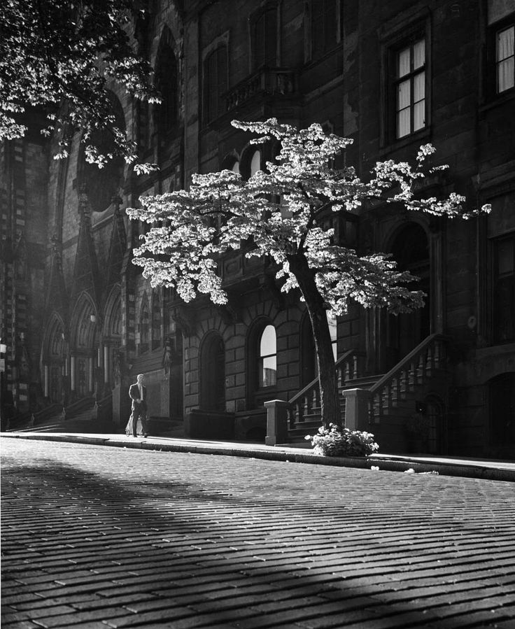 photo en noir et blanc